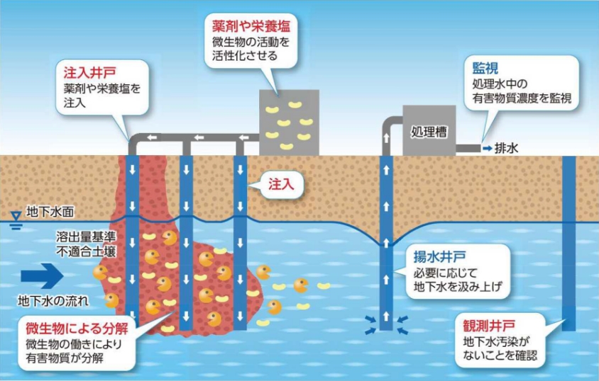 バイオレメディエーションのイメージ図